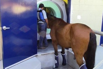 san-luis-rey-equine-hospital-ct-unit.jpg san-luis-rey-equine-hospital-ct-unit.jpg