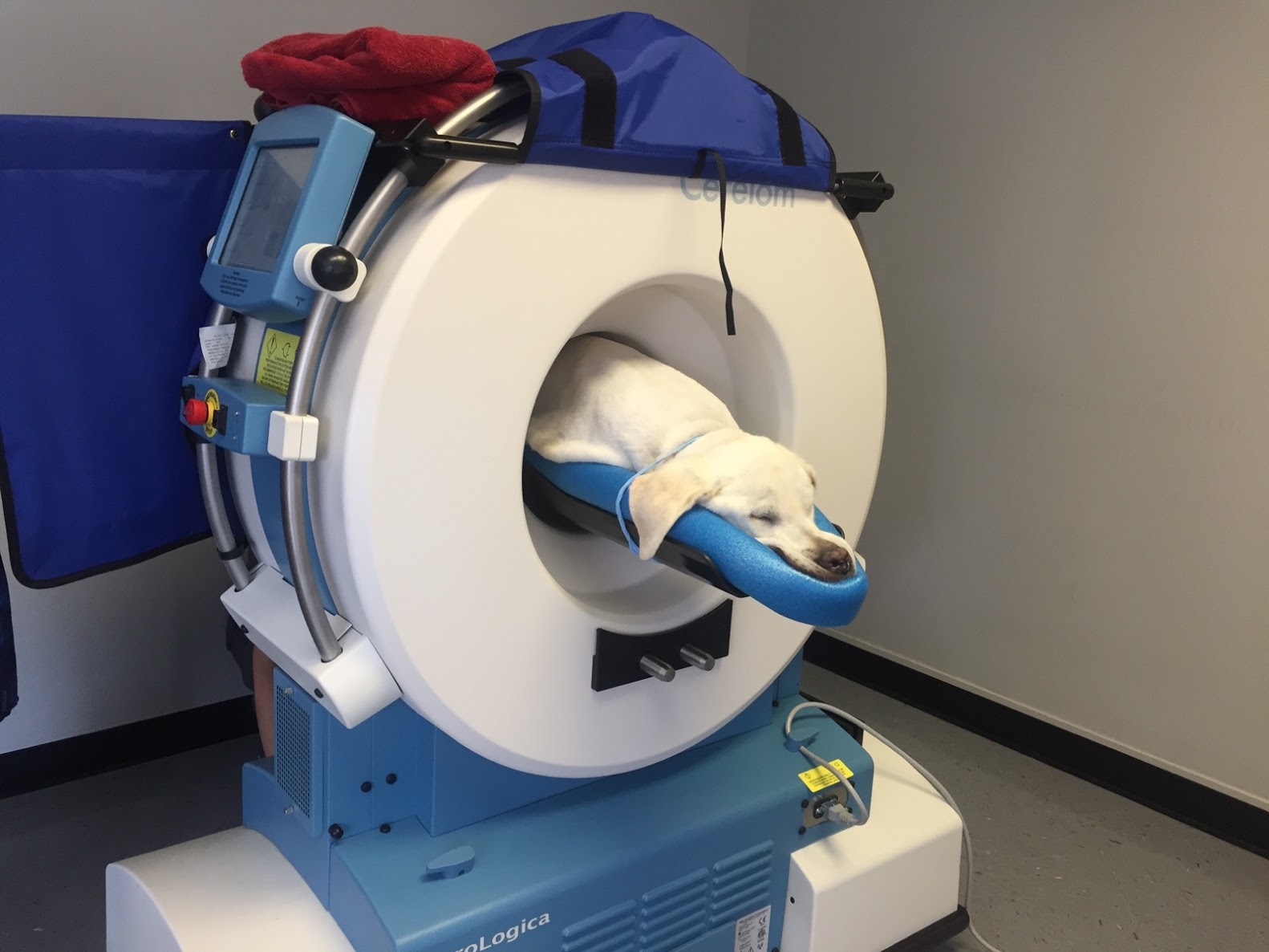 IMG_20160713_124327_02