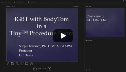 Brachytherapy Webinar with Sonja Dieterich, PhD